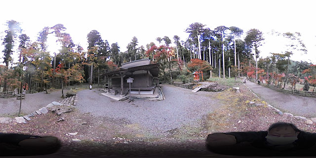 (41) 202211 栂尾山高山寺(右京区)