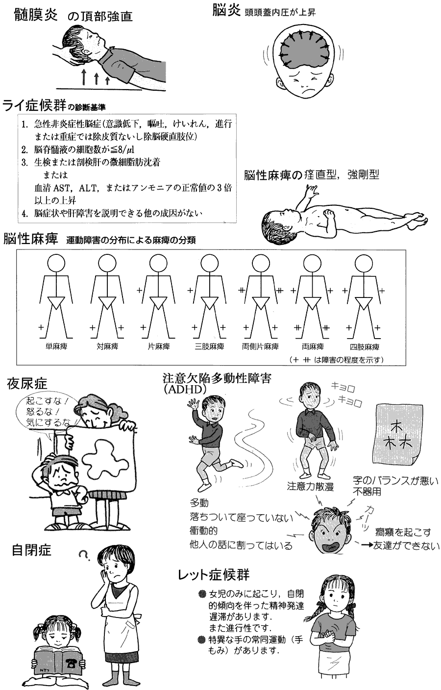 Xii 神経 精神2