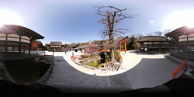 (10) 202102 下鴨神社(京都)